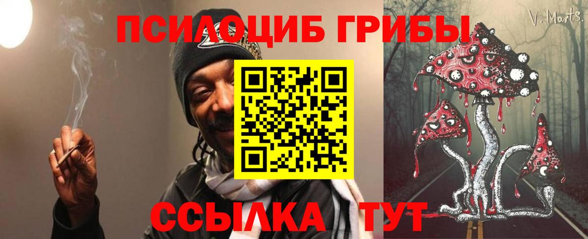 Галлюциногенные грибы прущие грибы Бугульма