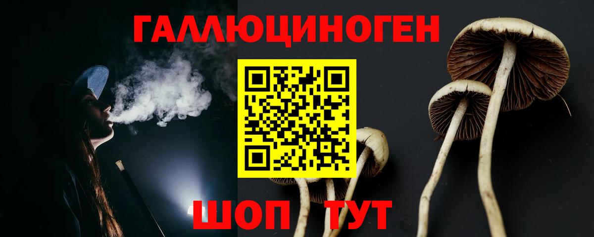 Бугульма  Галлюциногенные грибы MAGIC MUSHROOMS  Вход с VPN 